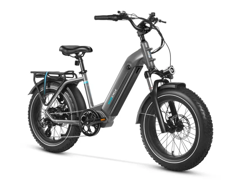 Magicycle Ocelot e-bike black front view