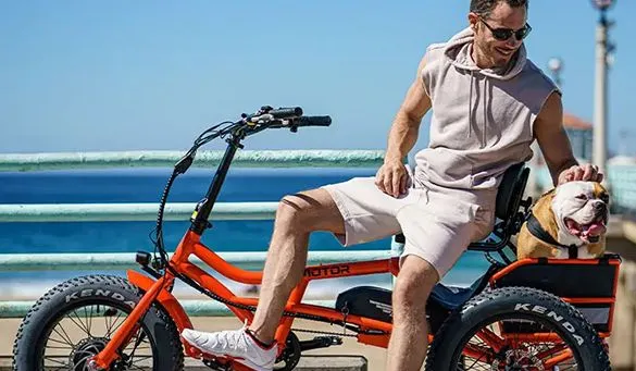 Dog riding Admotor e-bike