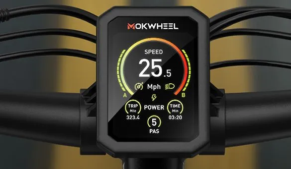 Mokwheel e-bike gauge