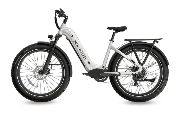 Mokwheel e-bike white with black wheels
