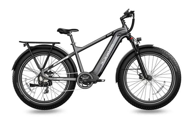 Mokwheel e-bike black