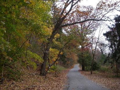 Swatara State Park trails