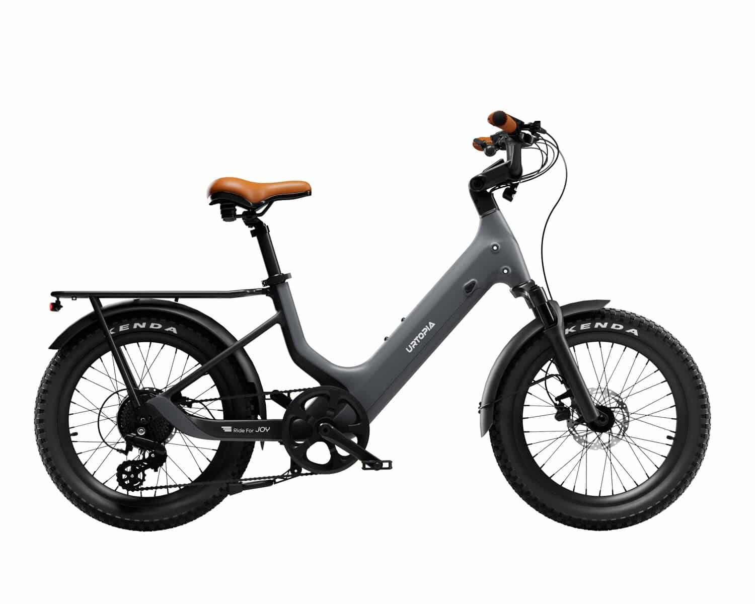 Joy Carbon gray electric bike