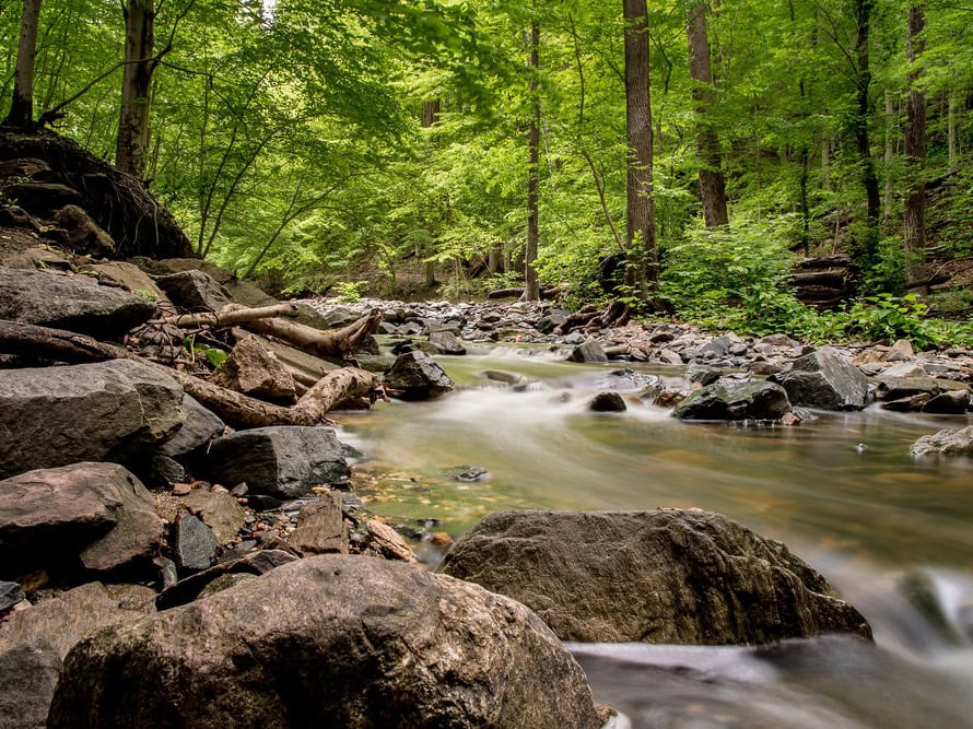 Patapsco Valley State Park Trails