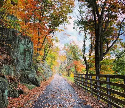 Fallen leaves covering the Chester Valley Trail between a mossy rock cut and a wooden fence in peak fall color