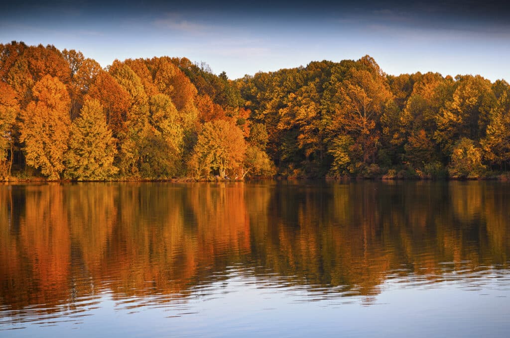 Wall of peak orange fall foliage reflected in the still water of Lake Luxembourg at Core Creek Park