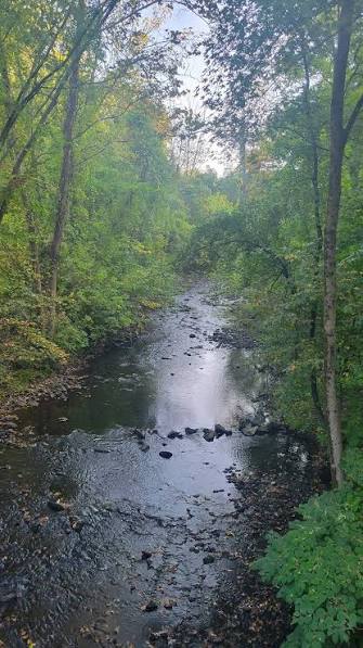 Rocky stream winding through the wooded Crum Creek valley in early fall