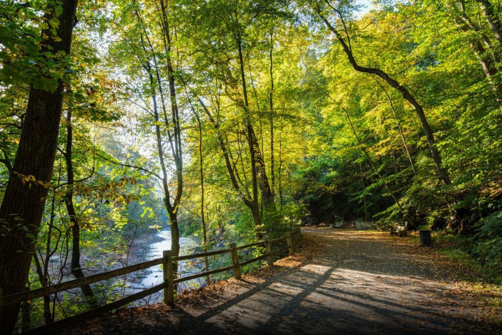 Wooded path with a split-rail fence along the edge, overlooking a creek below through summer greenery