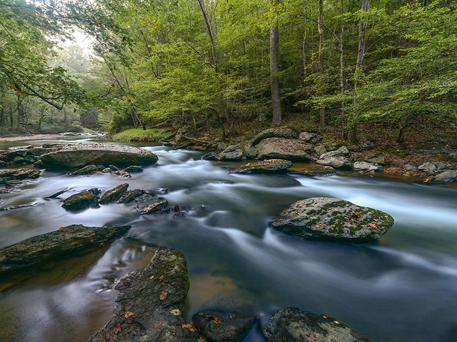 Gunpowder Falls flowing over mossy boulders through a shaded hardwood forest