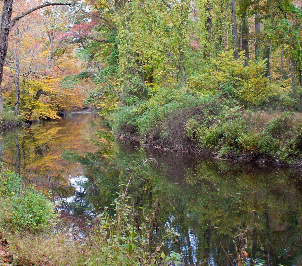 Ridley Creek reflecting early fall foliage between brushy wooded banks