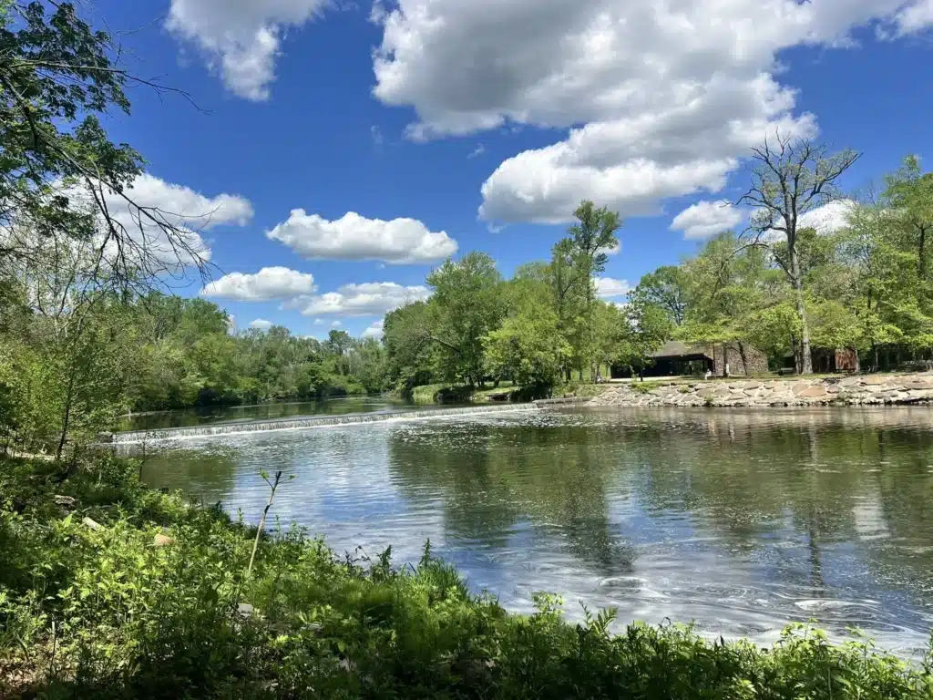 Neshaminy Creek running wide and calm below a bright blue sky at Tyler State Park