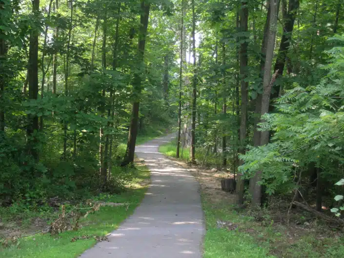 Narrow paved Uwchlan Trail winding through a dense green deciduous forest